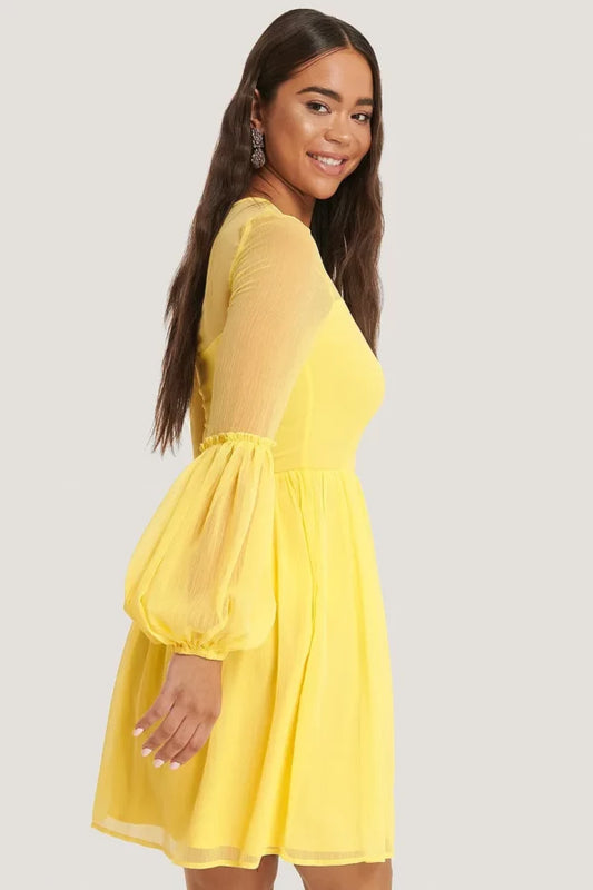 Ruffle Detail Mini Dress