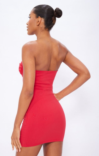 Red Underwire Detail Bandeau Bodycon Dress