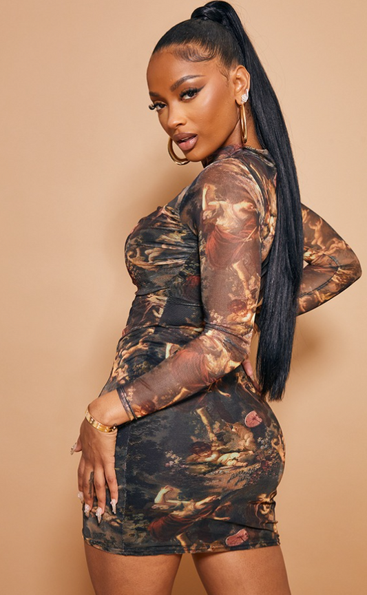 Shape Renaissance Print High Neck Mesh Bodycon Dress