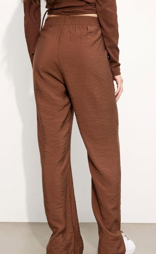 Envii ENELEMENT PANTS 6891 Chestnut.