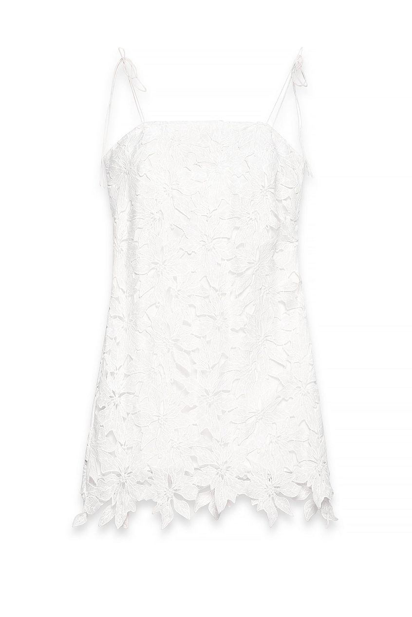 Na-kd Embroidery Anglaise Mini Dress
