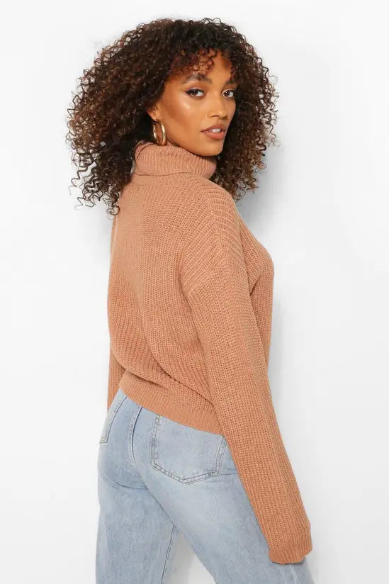 boohoo Tall Basic Roll Neck Crop Jumper