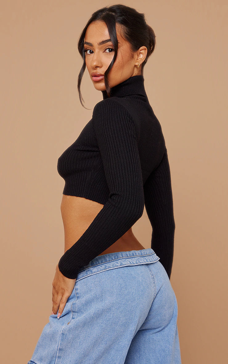 Petite Black Basic Knit Roll Neck Jumper