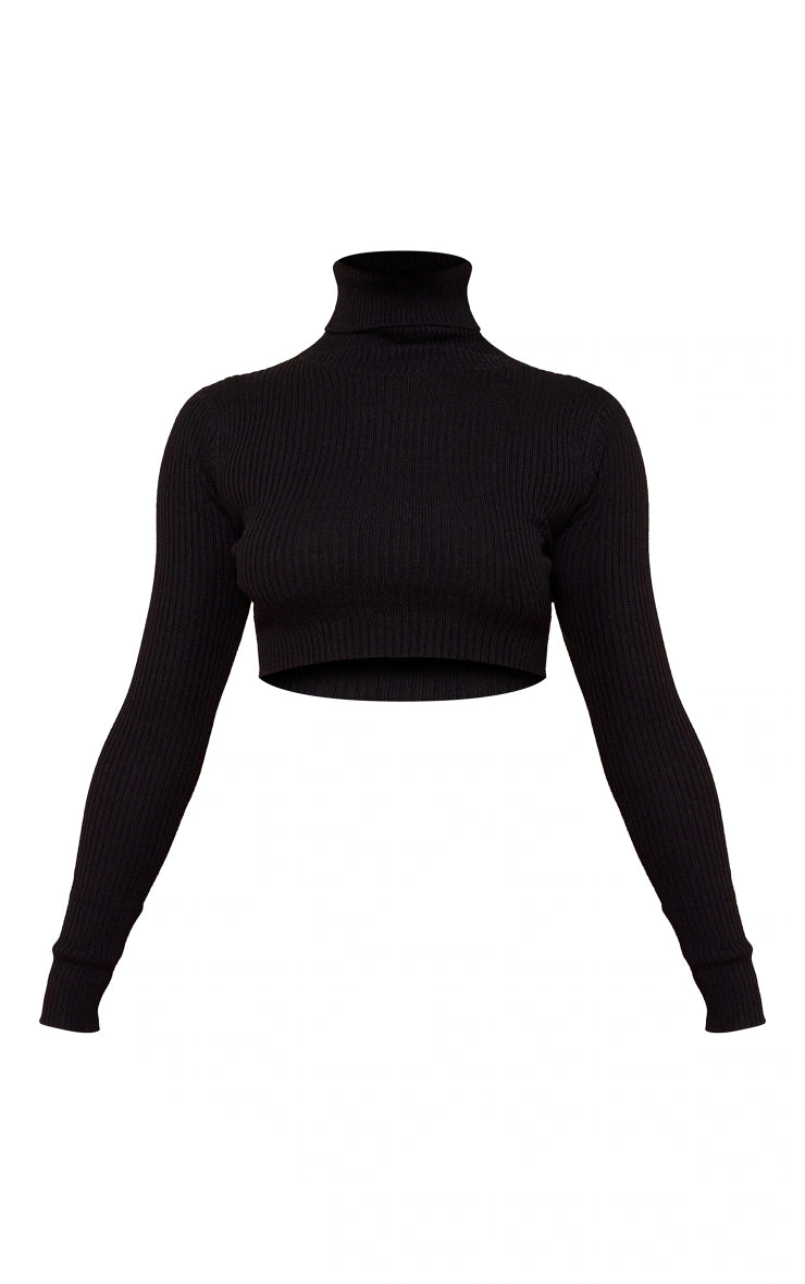 Petite Black Basic Knit Roll Neck Jumper