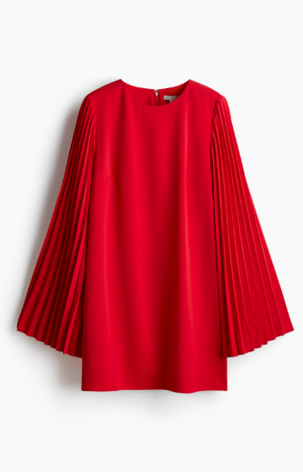 H&M - Pleat Sleeved Dress