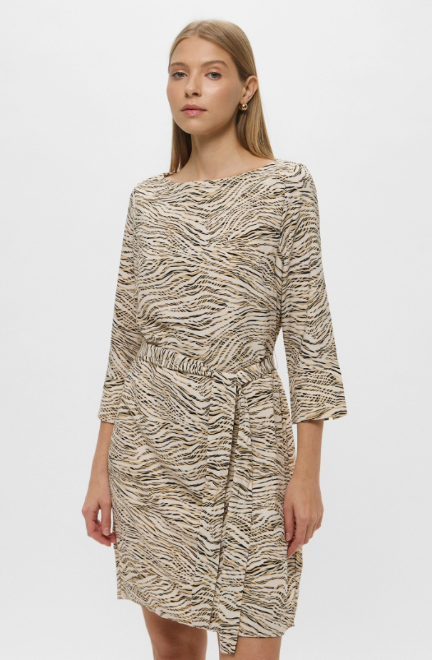 H&M - Tiger Pattern Dress