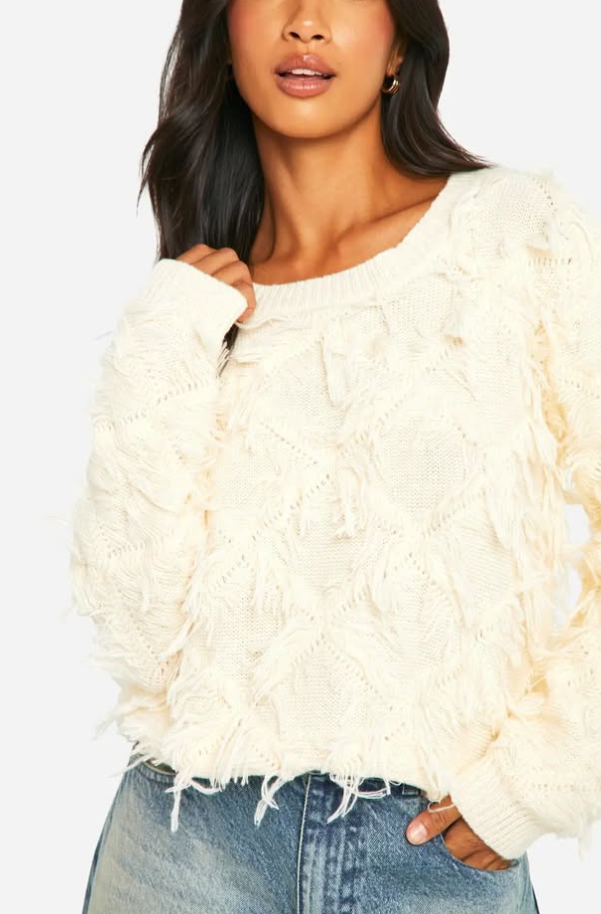 boohoo Petite Fringe Detail Crop Knitted Jumper