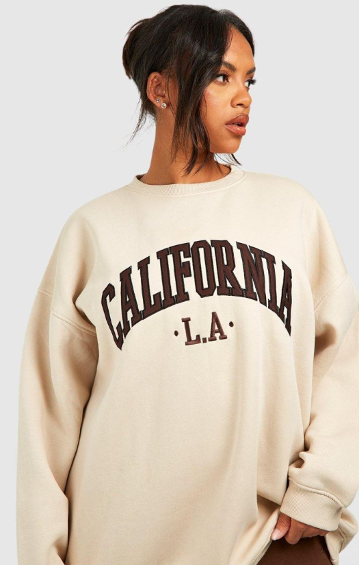 Boohoo Plus California Applique Oversized Sweatshirt - stone