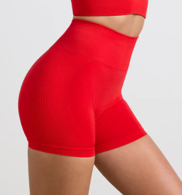 Define luxe High-Waist Define Luxe Mini Shorts in Red