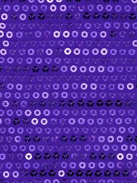Loavies - Purple bikini Bottom