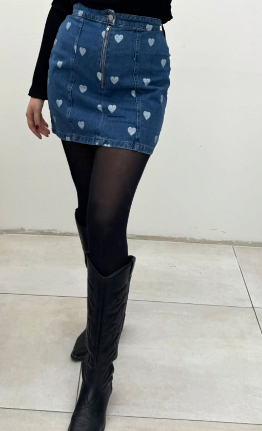 Envii - Denim Skirt