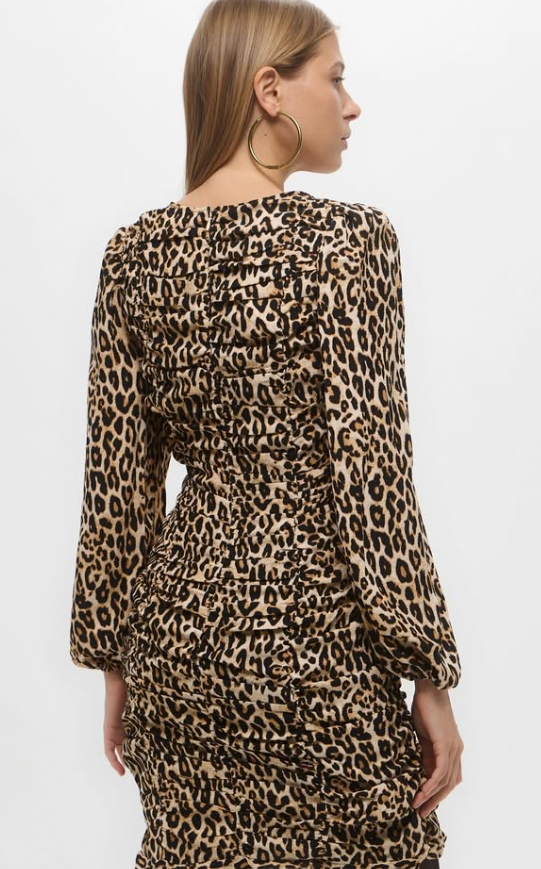 H&M - Leopard Mini Dress