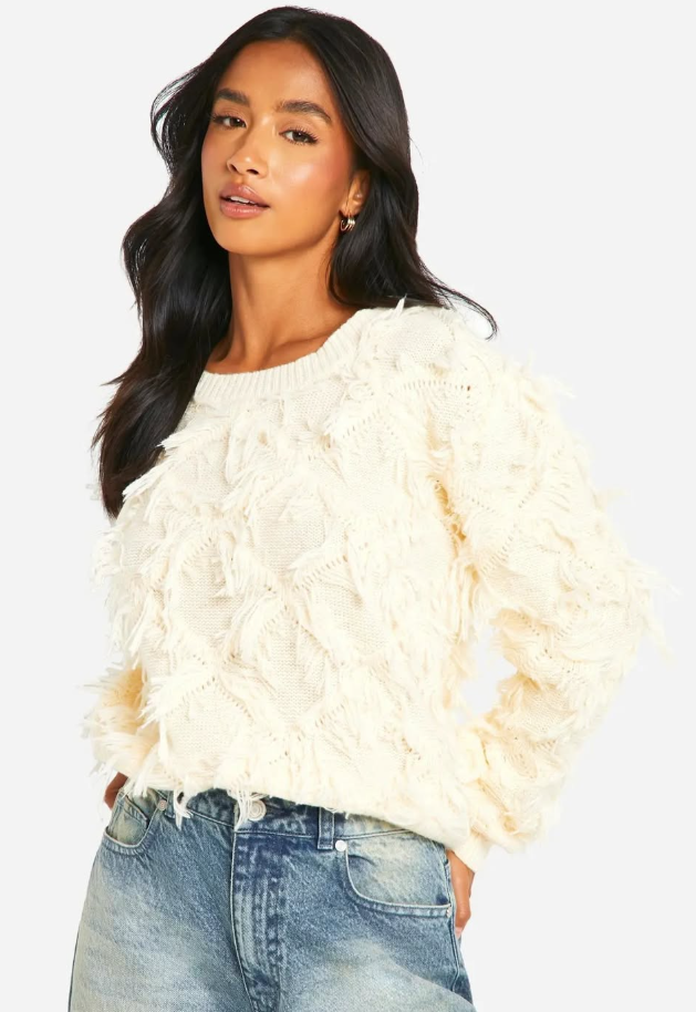 boohoo Petite Fringe Detail Crop Knitted Jumper