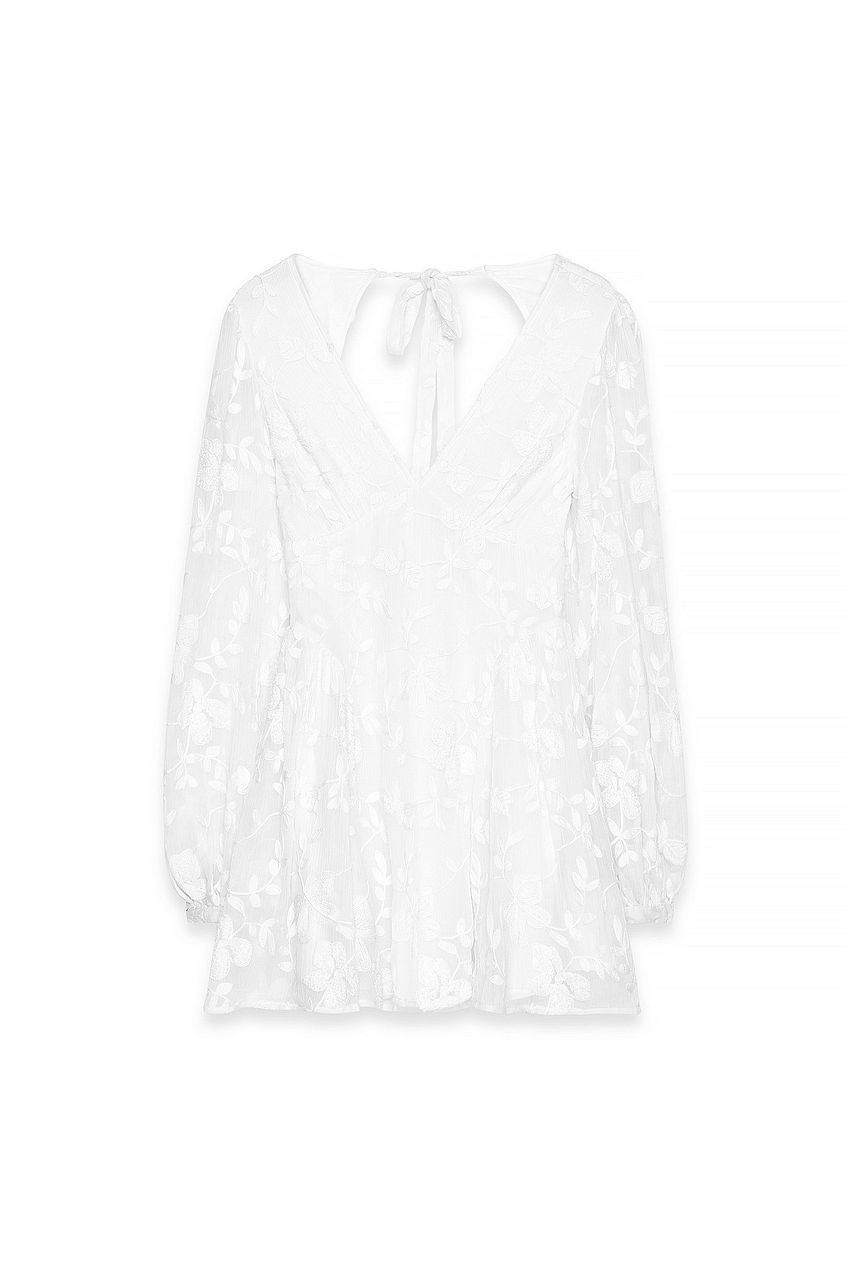 Na-kd Embroidered Chiffon Long Sleeve Mini Dress