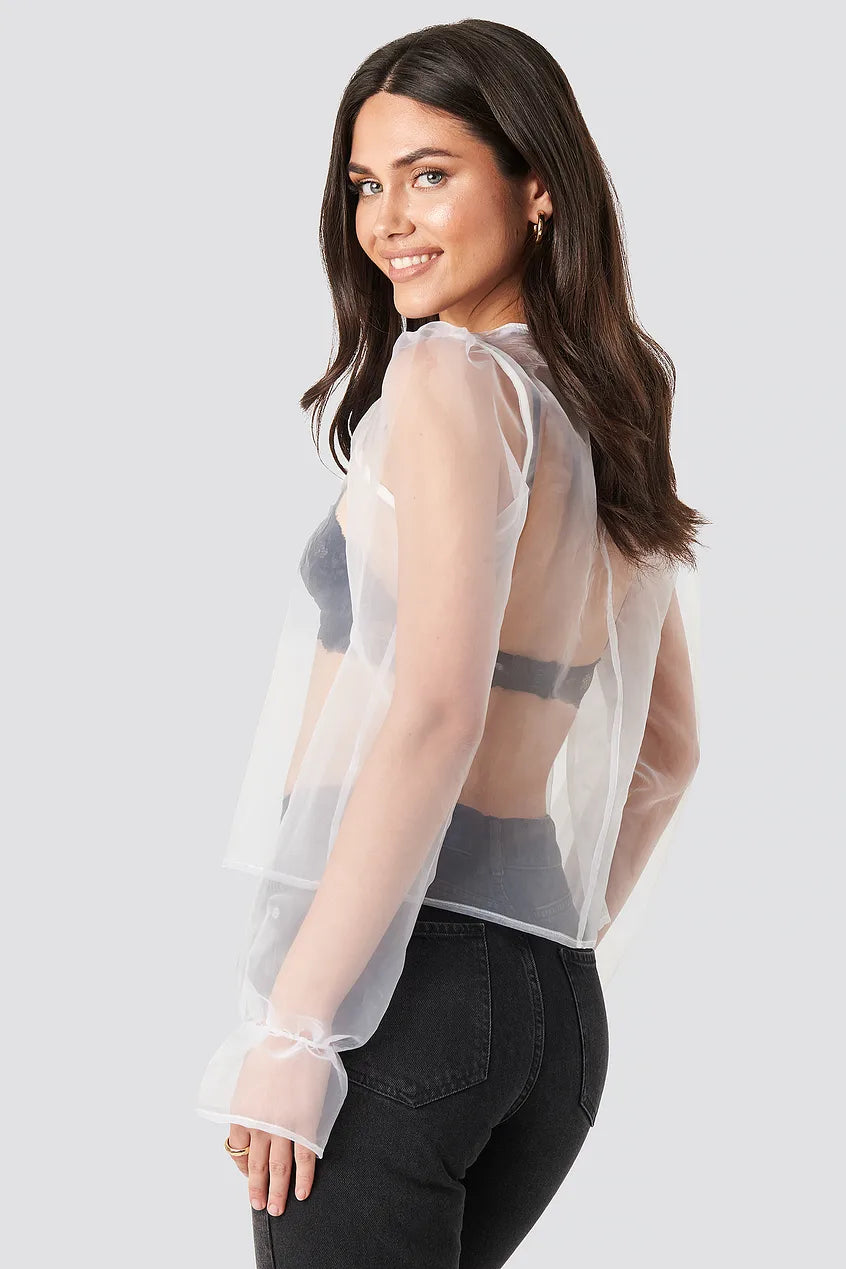 Flounce Sleeve Organza Blouse
