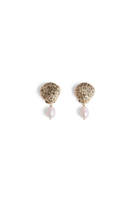 Small Shell Pearl Earrings