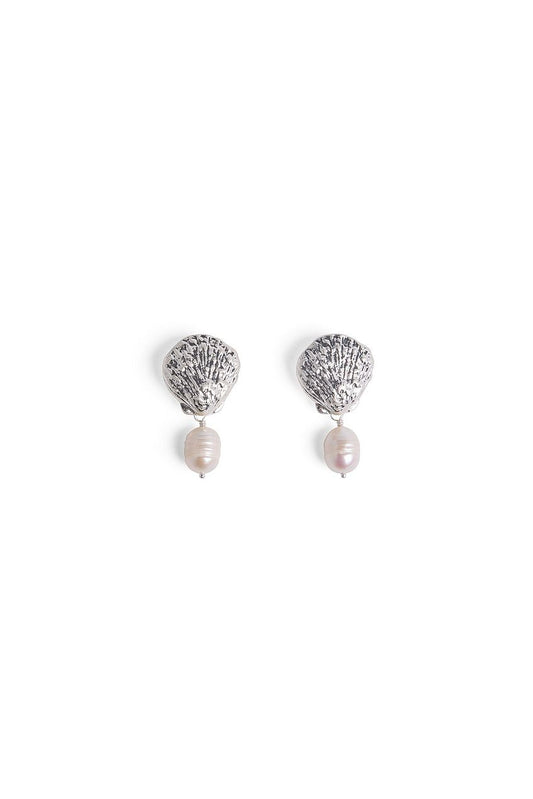 Small Shell Pearl Earrings